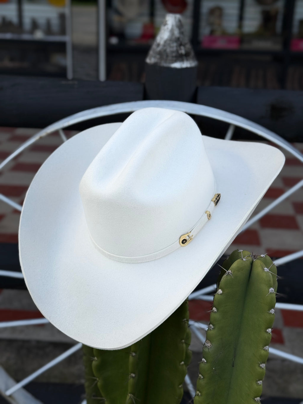 CELEBRITY 30x Clásico