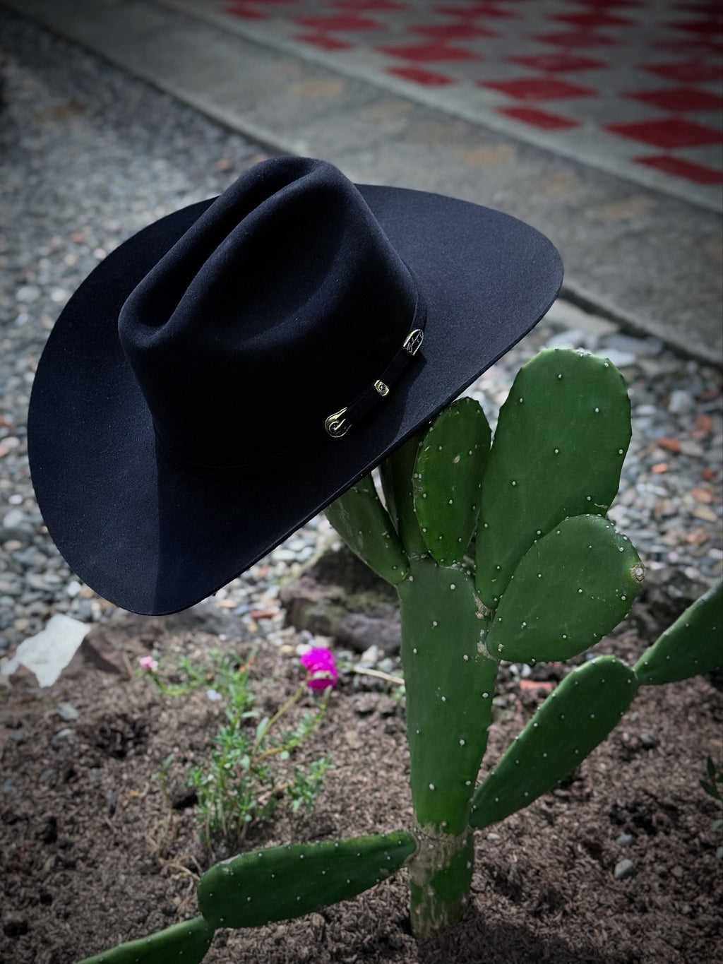 CELEBRITY 30x Clásico