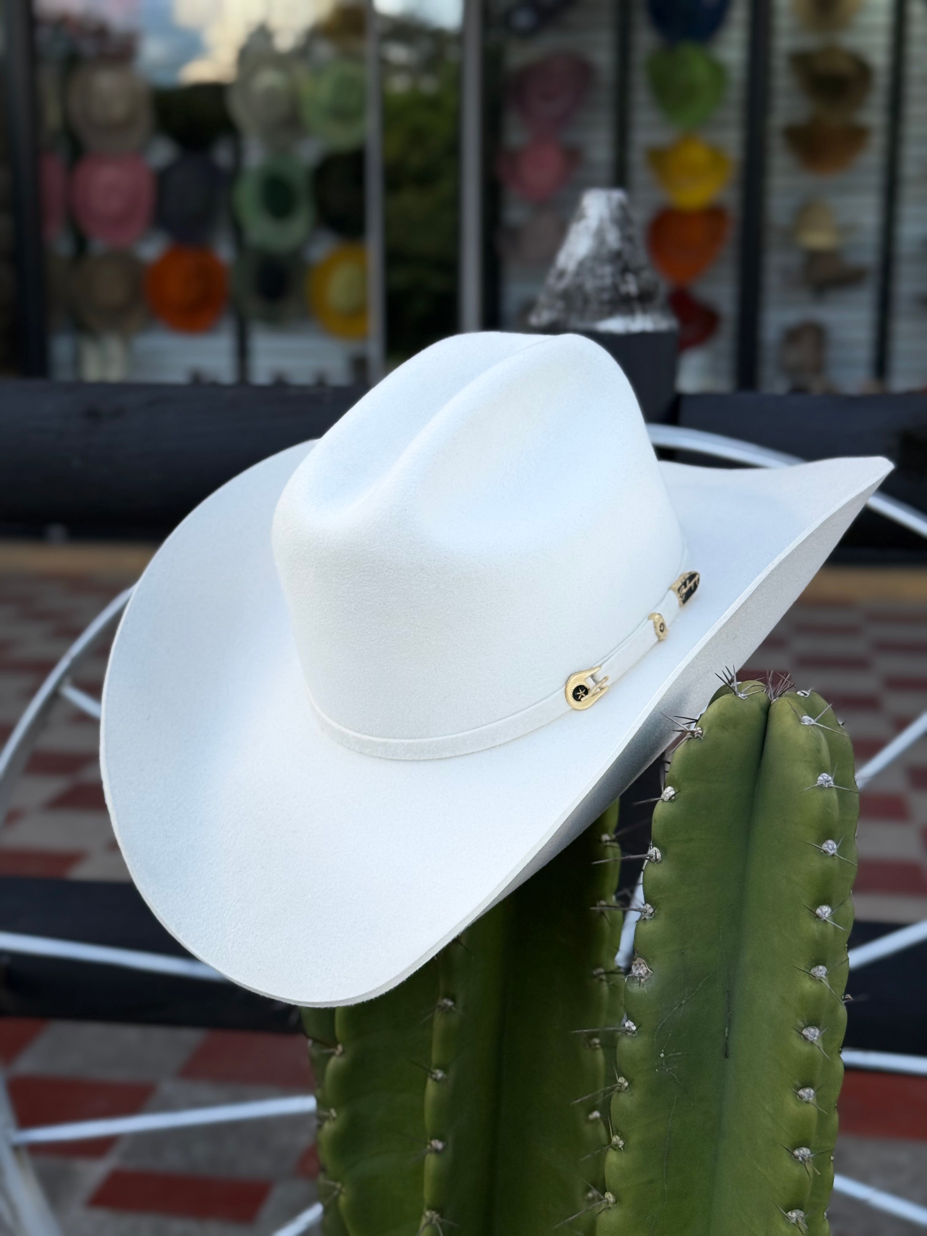 CELEBRITY 30x Clásico