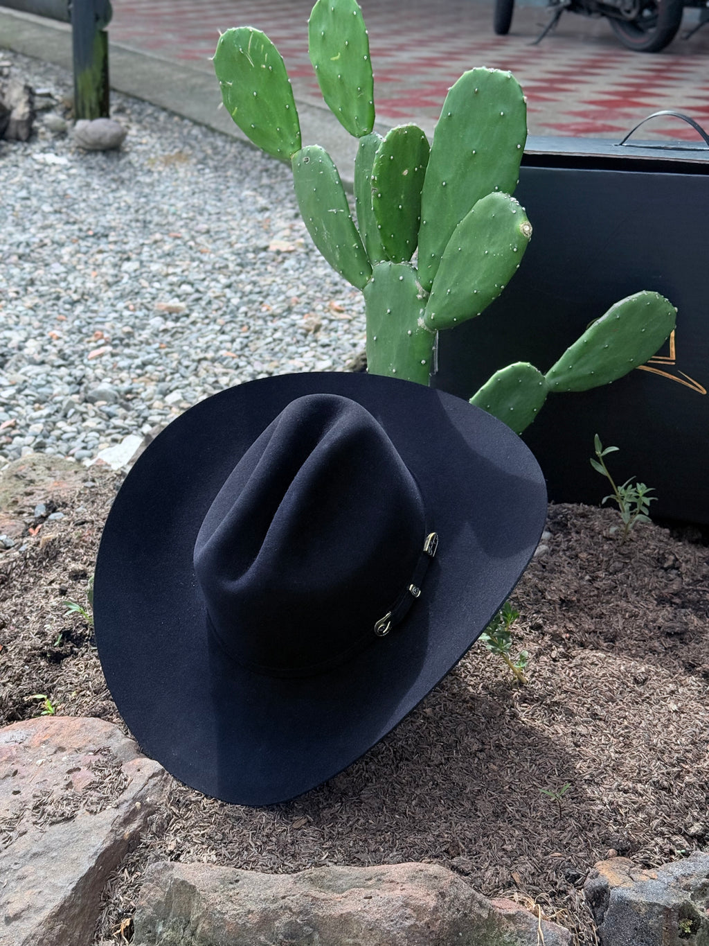 CELEBRITY 30x Clásico