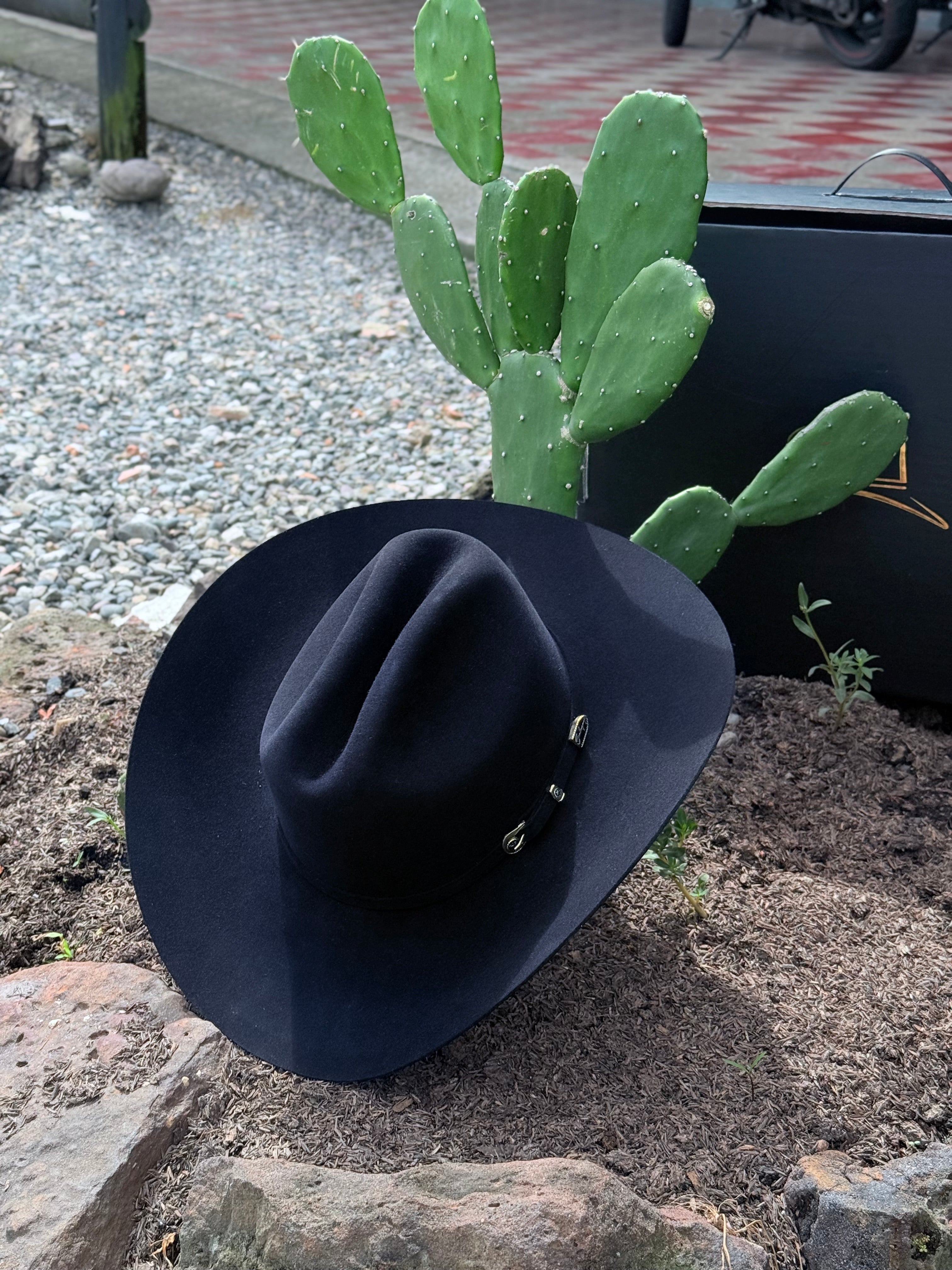 CELEBRITY 30x Clásico