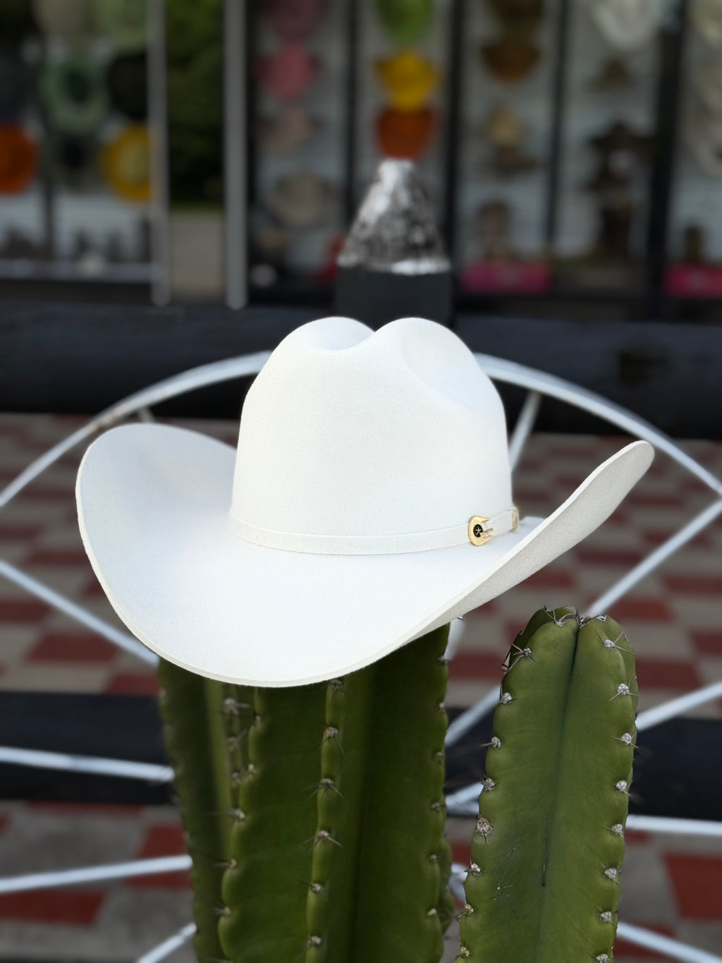 CELEBRITY 30x Clásico