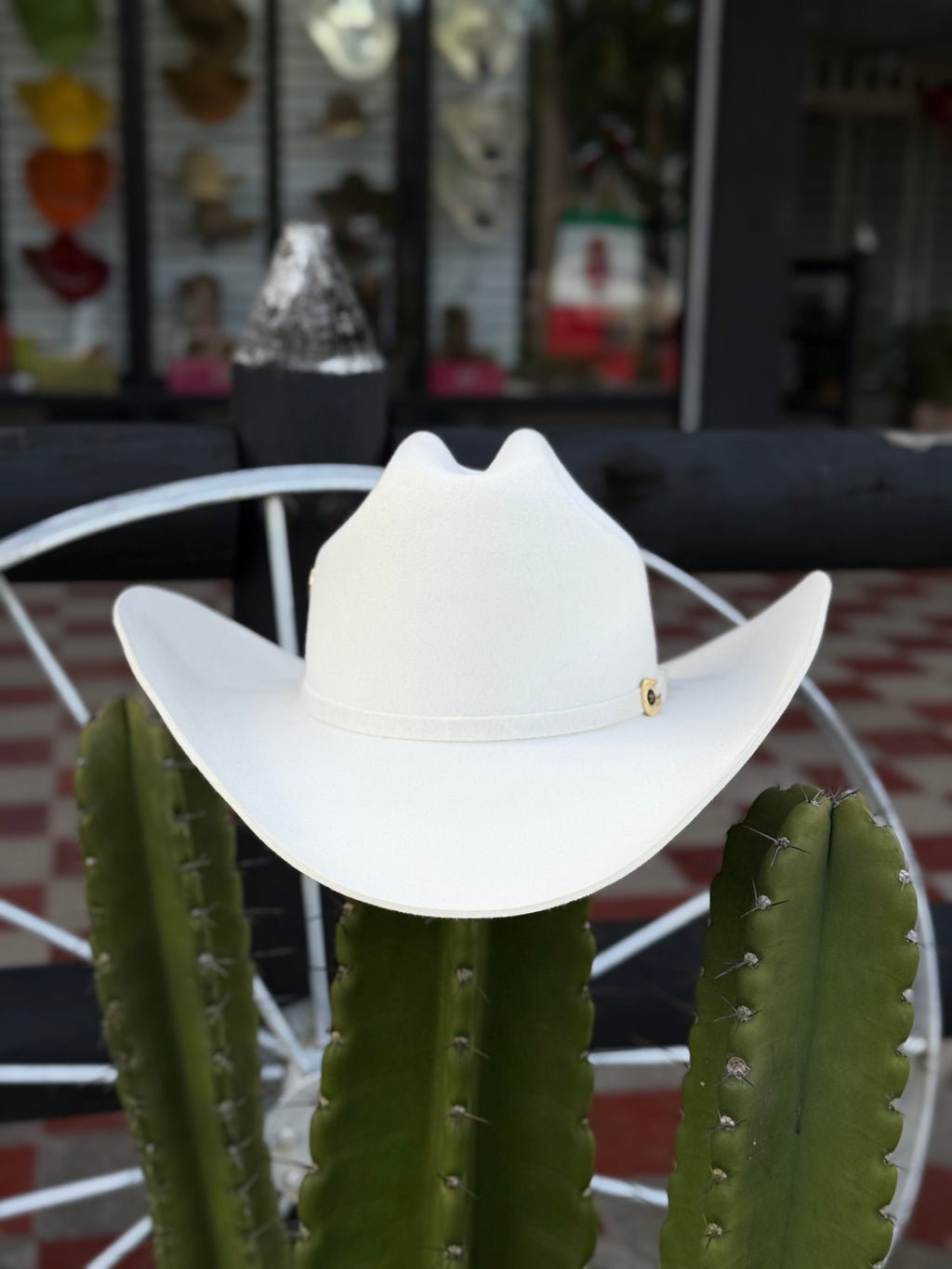 CELEBRITY 30x Clásico