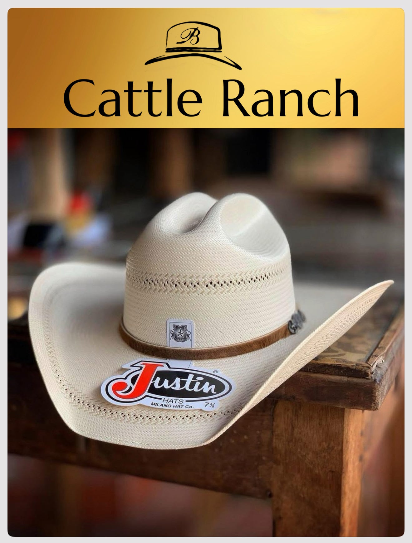 JUSTIN 50x CATTLE RANCH