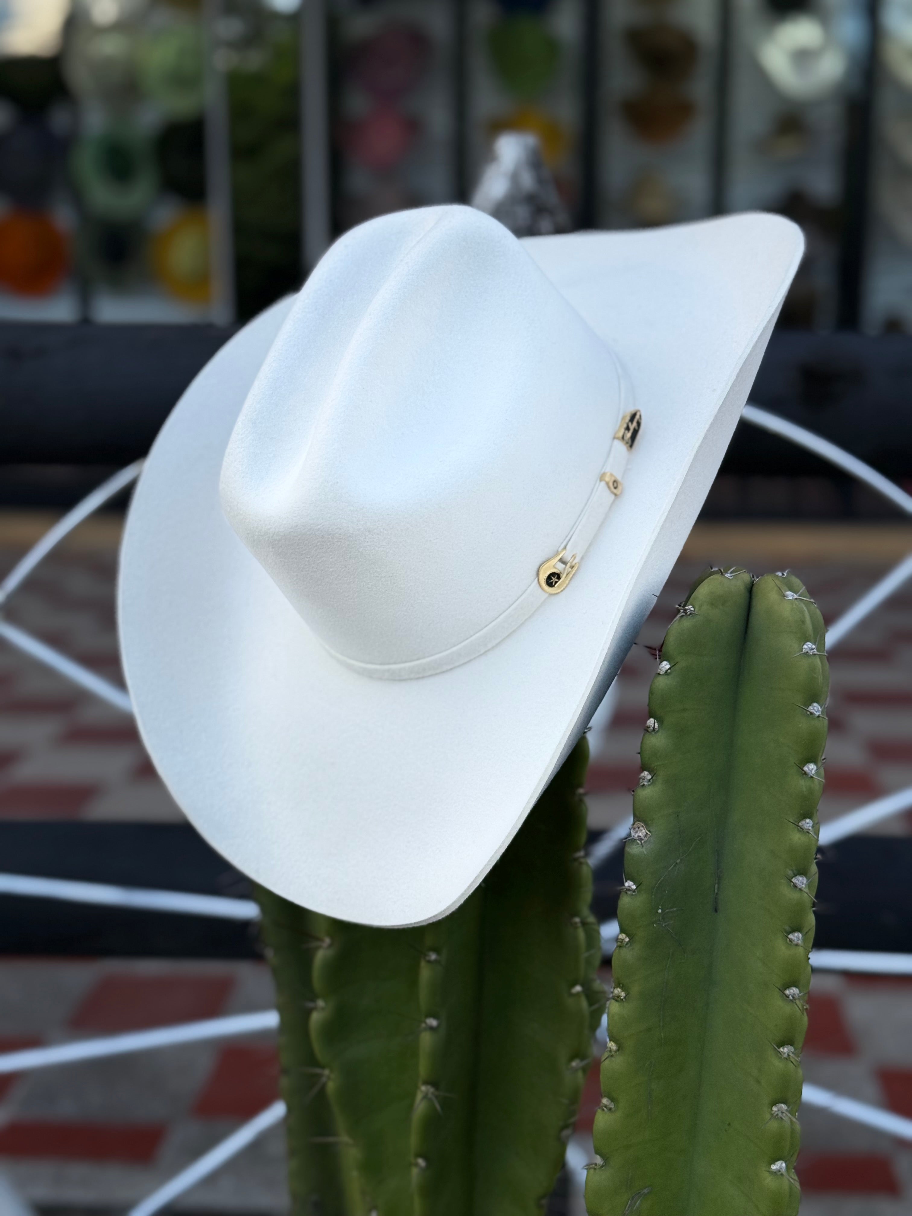 CELEBRITY 30x Clásico