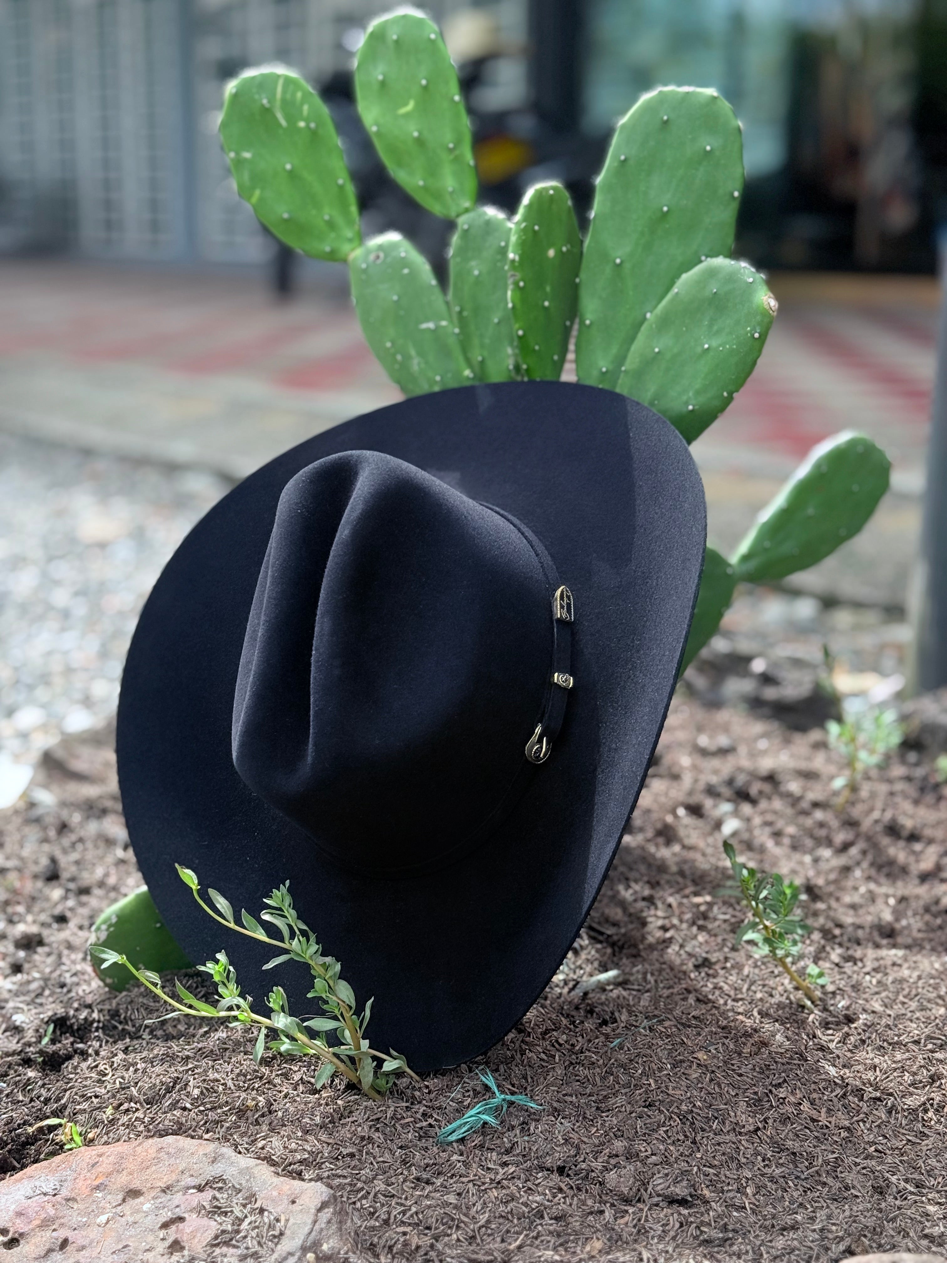 CELEBRITY 30x Clásico