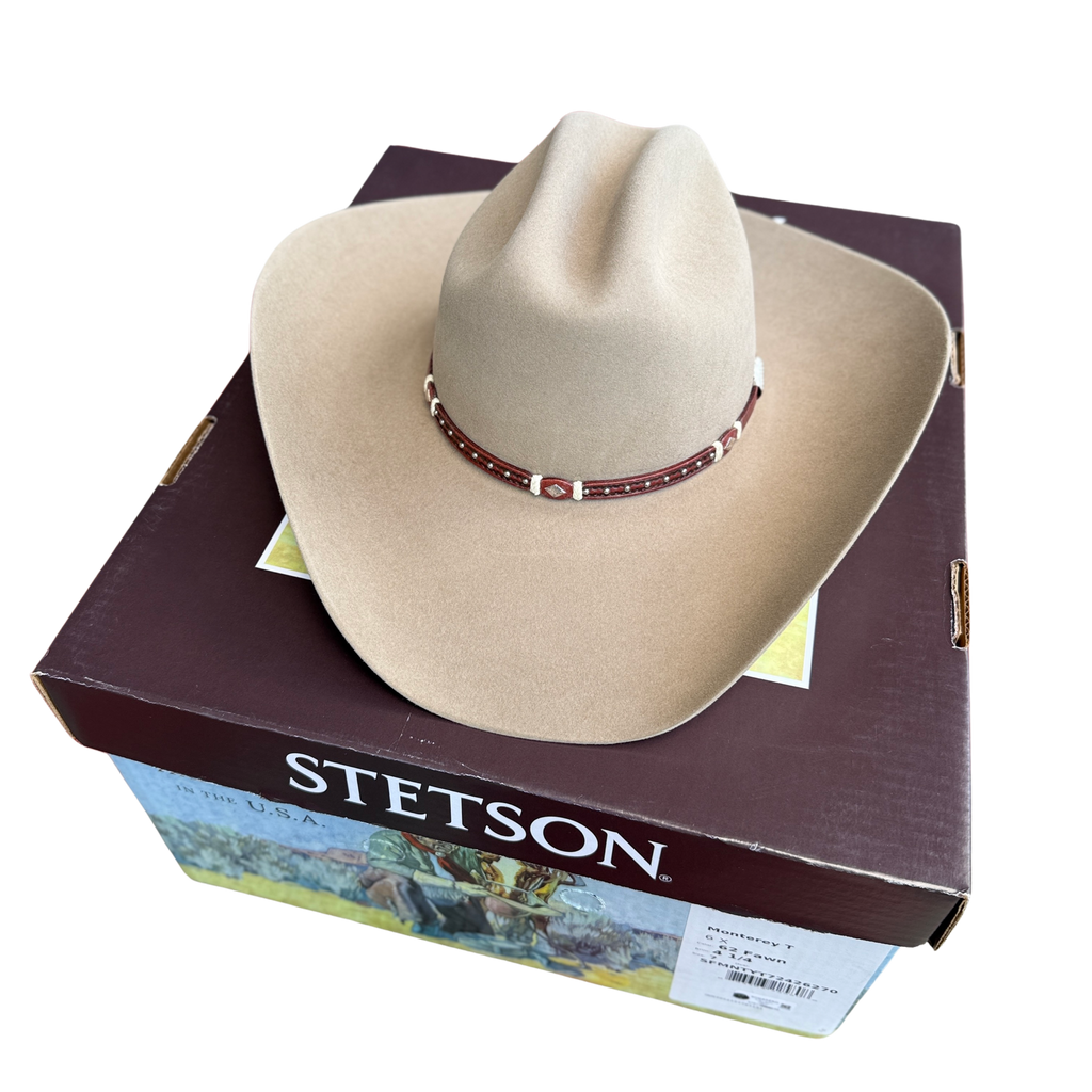 STETSON 6X Arena (fawn)