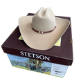 STETSON 6X Arena (fawn)
