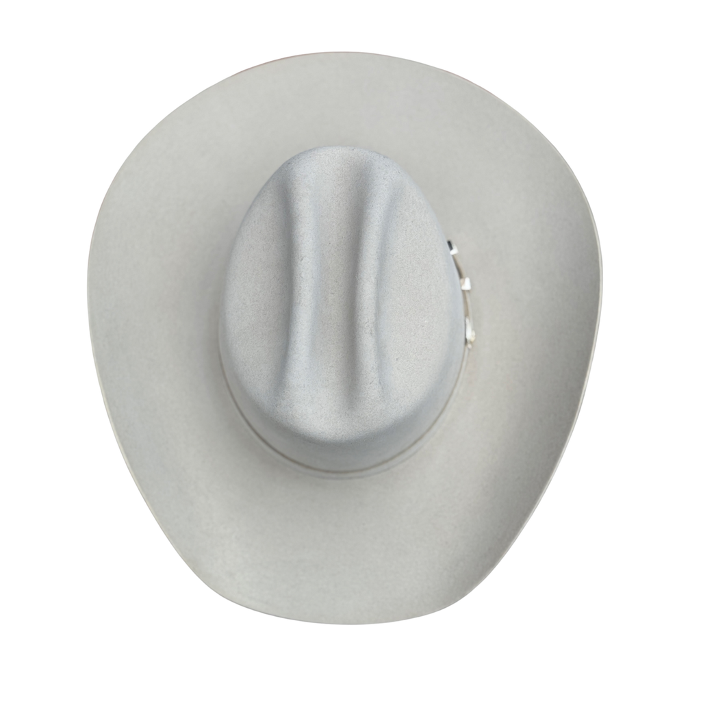 STETSON 10x silverbelly