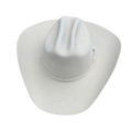 STETSON 10x silverbelly